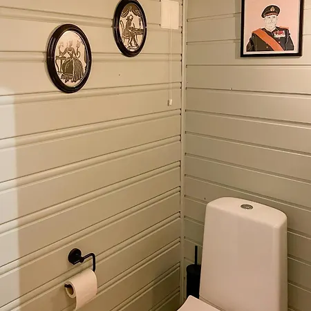 Charmante Huette Mit Modernem Touch Im Fagerfjell *